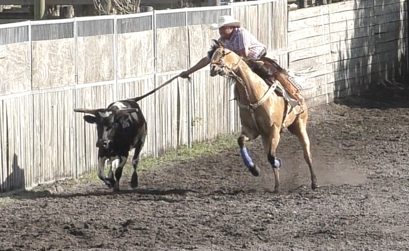 ARM shared this photo from a "steer tailing" competition. [Photo courtesy ARM]